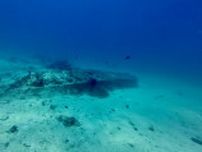 フランス領海で16世紀の沈没船が発見される。「まるで時間が止まった」奇跡の保存状態
