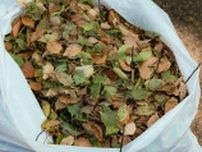 草木を捨てる時は“アレ”をすると「清掃員がすごく助かります！」ゴミ清掃芸人が捨て方を投稿