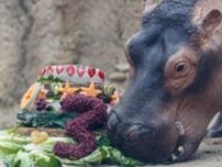 カバにスイカを与えたら…⇨周南市徳山動物園の投稿に「時間が止まった…w」と反響