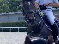 あ、ぬいぐるみ？元競走馬ディープボンドの“ファンサ”に「喜びと驚きで言葉が出ませんでした」
