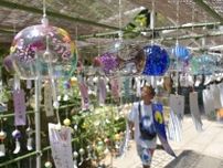 参道彩る風鈴　癒しの音色奏でる　下妻・大宝八幡宮　茨城