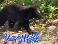 畑で農作業をしていた男性がクマに襲われけが　秋田・北秋田市