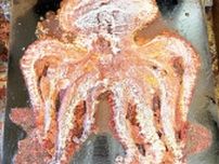タコ1匹を丸ごとプレス!?  思わず二度見するお菓子から昔ながらの素朴なお菓子まで！兵庫のご当地スイーツがすごかった 【兵庫県のご当地お菓子3選】