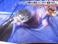 奇跡の復活！「能登うなぎプレミアム」震災からの復興、そして金沢の料理人が紡ぎ出す夏の美食体験