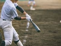 夏の高校野球・兵庫大会　ベスト4決定！　神港学園、報徳、東洋大姫路と、公立唯一で小野
