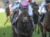 強豪牡馬に挑むディープ系牝馬カルパナ、陣営は仕上がりに自信
