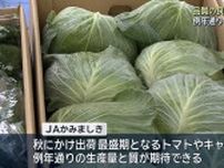 品質の良い野菜を消費者へ「キャベツやトマトなど収穫順調」JAかみましきがPR