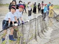 宮城の南三陸・名足小児童、地引き網漁を体験　豊かな海を実感