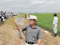 ブランド米「ささ結」の栽培方法学ぶ　デビュー10周年　宮城・大崎の水田で検討会