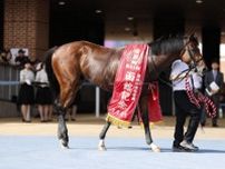 【函館記念】佐々木「イメージ通り乗れた」ヴェローチェエラが重賞初制覇