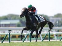 【新馬/函館5R】ブリクスアンドモルタル産駒 ハイヤーマークがデビューV