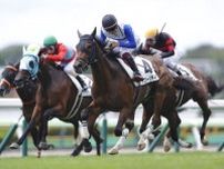 【函館5R】横山武ラブリーリディアが人気に応える…函館リーディング首位をキープ