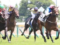 キミワクイーンの競走馬登録抹消…繁殖予定
