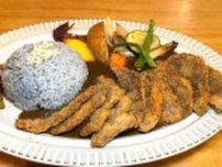 ジビエが楽しめる西宮のオーガニックカフェ『cocozion（ココザイオン）』