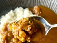 阪神タイガース新2軍球場名物「虎風荘カレー」が商品化！かつての名選手が愛した味を実食