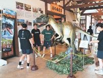 番屋街にアロサウルス　氷見市芸術文化館（富山県）で２５日開幕の大恐竜博をＰＲ
