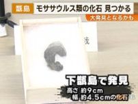 大発見かも　甑島　モササウルス類の化石　見つかる