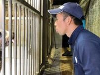 言葉がわかるトドの「ハマ」、人まねもできた!　世界初確認　学術誌に論文　豊岡・城崎マリンワールド