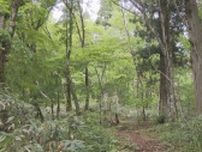 「四国の山　写真・動画コンテスト」の作品募集　11月11日「四国山の日」に表彰式