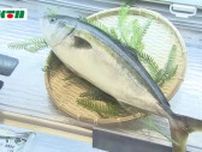 目指すは…長崎から世界進出！「完全養殖」ブリの試食・販売会を長崎市で実施