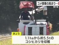 種子島で超早場米の収穫始まる　コメ需要の高まりで栽培面積増やす　「出来は良好」　稲刈りは7月末まで【鹿児島】