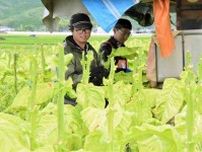 農繁期異なる農家が協力　必要な時期に人手確保　あさぎり町で取り組み　地域の雇用創出