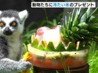 動物に冷た〜い“氷”のプレゼント　爪でかいて、なめてひんやり…警戒して距離をとる動物も…（高知・香南市）