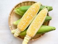 トウモロコシは“野菜”じゃないの！？栄養と選び方まで栄養士ライターが解説