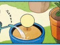 どんなお花が咲くのかな？ 子ザメちゃんがお世話していた植木鉢の中身は