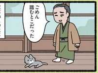 【福沢諭吉とねこ】おっと危ない！ 人間の下ではなく、上で穏やかにくつろぐねこ