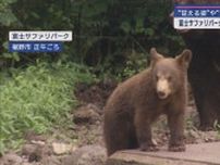 ２年ぶりに生まれたアメリカグマの赤ちゃん一般公開　静岡・裾野市「富士サファリパーク」