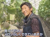 後継者不足に悩むメロン農家に33年ぶりの新規就農者…国立大卒44歳の元広告マン　静岡・袋井市