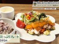 21種類のやさしさに包まれて　「cafeteria PARICA」の癒しごはん　静岡市
