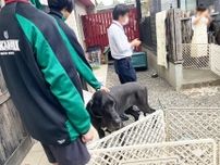 行き場を失った犬猫の現状と保護を学ぶ中学生　ワンコ＆ニャンコもうれしそう　責任感と動物愛溢れる大人になってほしい