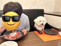 ごちそうを秒で完食して“虚無”　子犬のあまりにも切ない顔に「かわいすぎて泣ける」「切な表情イヌ」