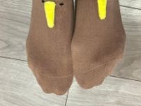 「靴を履くと、さらにキュートな靴下見て」歩くと黄色いくちばしが…「チュチュアンナ天才か！？」