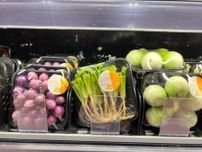 在日タイ人「根っこだけでも売ってください」…日本では見逃されがちなパクチーの〝根〟の真価とは！？