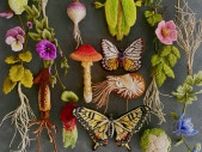 「怖いか。私の立体刺繍の才能が」針と糸で作ったリアルな野菜、花や生き物「神すぎて怖い」「国宝に」