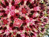 本物の生花を使った万華鏡　広がる幻想的な世界「没入感を味わって」　フランスでも高評価