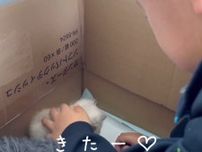 「猫を迎えたい」その日からゲームを我慢して家のお手伝いを頑張った小学生　家族が選んだ保護猫との出会いが15万いいねの感動を呼ぶ