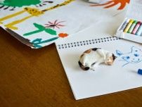 手のひらサイズの羊毛フェルト猫　お留守番中にお家の中を大冒険　羊毛フェルト作家が初のストーリー作品集を出版