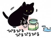 愛猫の謎の「ぴるぴる」。なんなんだろう...飼い主も困惑／黒猫ろんと暮らしたら3