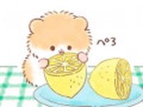 ポテトはあるけどハムスター君がいない？こぐま君が探した結果...／こぐまくんとハムさん
