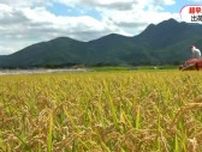 超早場米「金峰コシヒカリ」出荷始まる　今年は病害虫少なく品質良好　農家へ支払う概算金は4割アップ　鹿児島