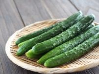 「きゅうりの最高にウマい食べ方見つけた！」「もっと早く知りたかった」簡単きゅうりレシピ13