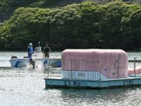 種子島の西京ダム湖面に浮かぶピンク色の鯨　動かないし遊べる訳でもない　お腹の中にはすごい機器が隠れていた