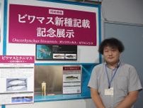 新種登録のビワマス標本を琵琶湖博物館で展示　ホロタイプの展示は最初で最後