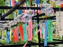 田川・三井寺で「風鈴祭り」　1万3000個の涼やかな音色響く