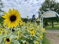 アンデルセン公園で千葉ジェッツとスピアーズのイベント　選手らも来園