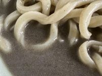 浜松・大島町にうどん専門店　自家製麺と煮干しだしの「にぼしうどん」提供